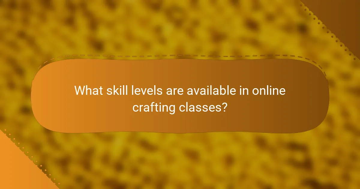 What skill levels are available in online crafting classes?